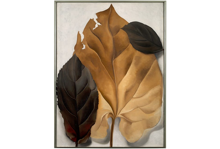 GEORGIA_OKEEFFE_Tan-Leaves-Framed