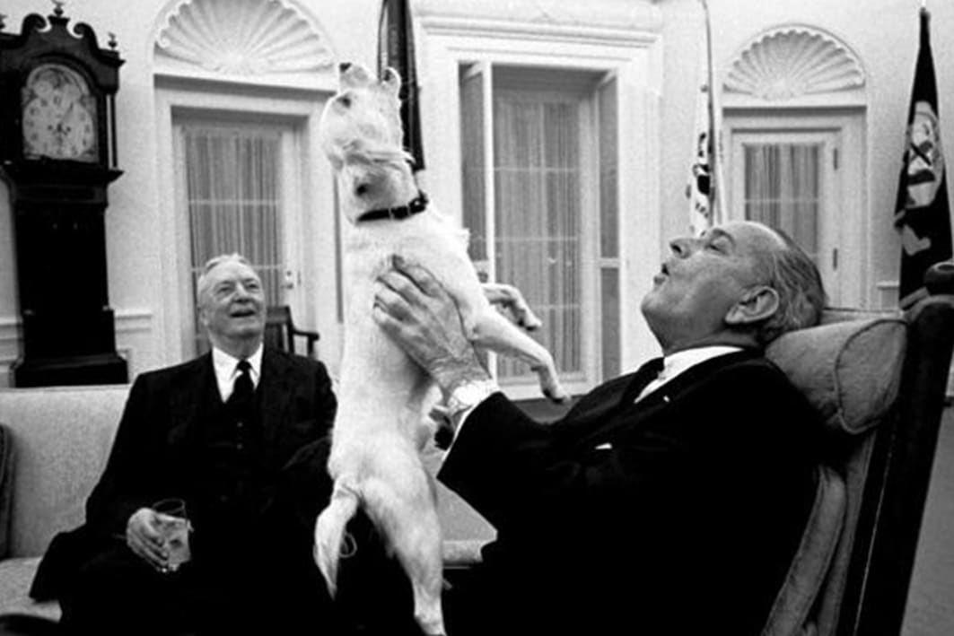 presidential-dogs