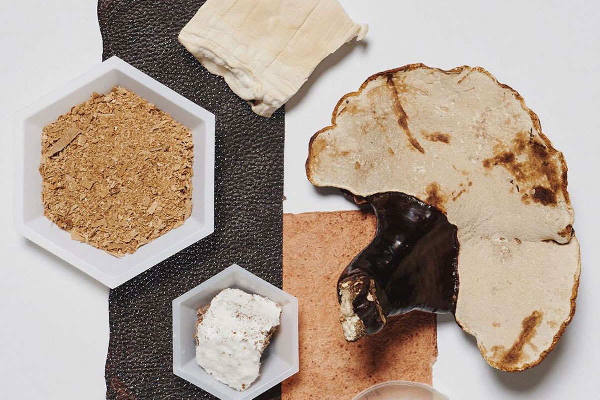 A guide to Mylo the sustainable mushroomleather alternative RUSSH