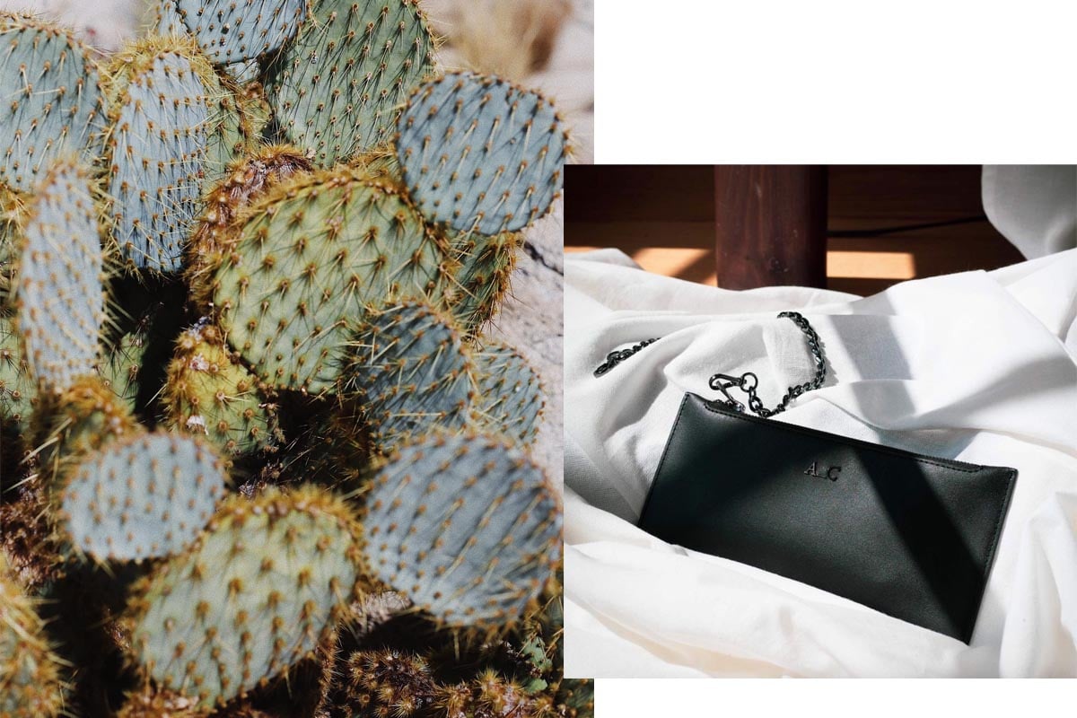 Cactus leather: what to know about the sustainable (plastic-free) leather  alternative