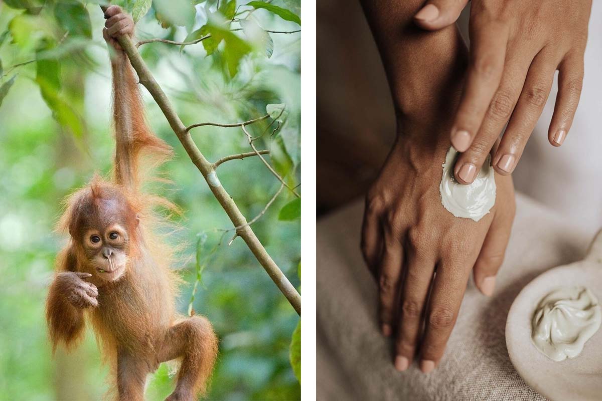 palm oil in skincare