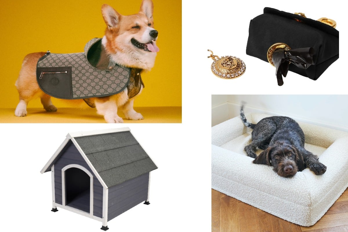 Where to buy the best modern pet accessories and furniture