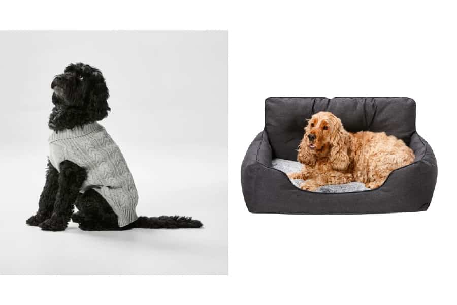 Where to buy modern pet accessories and furniture