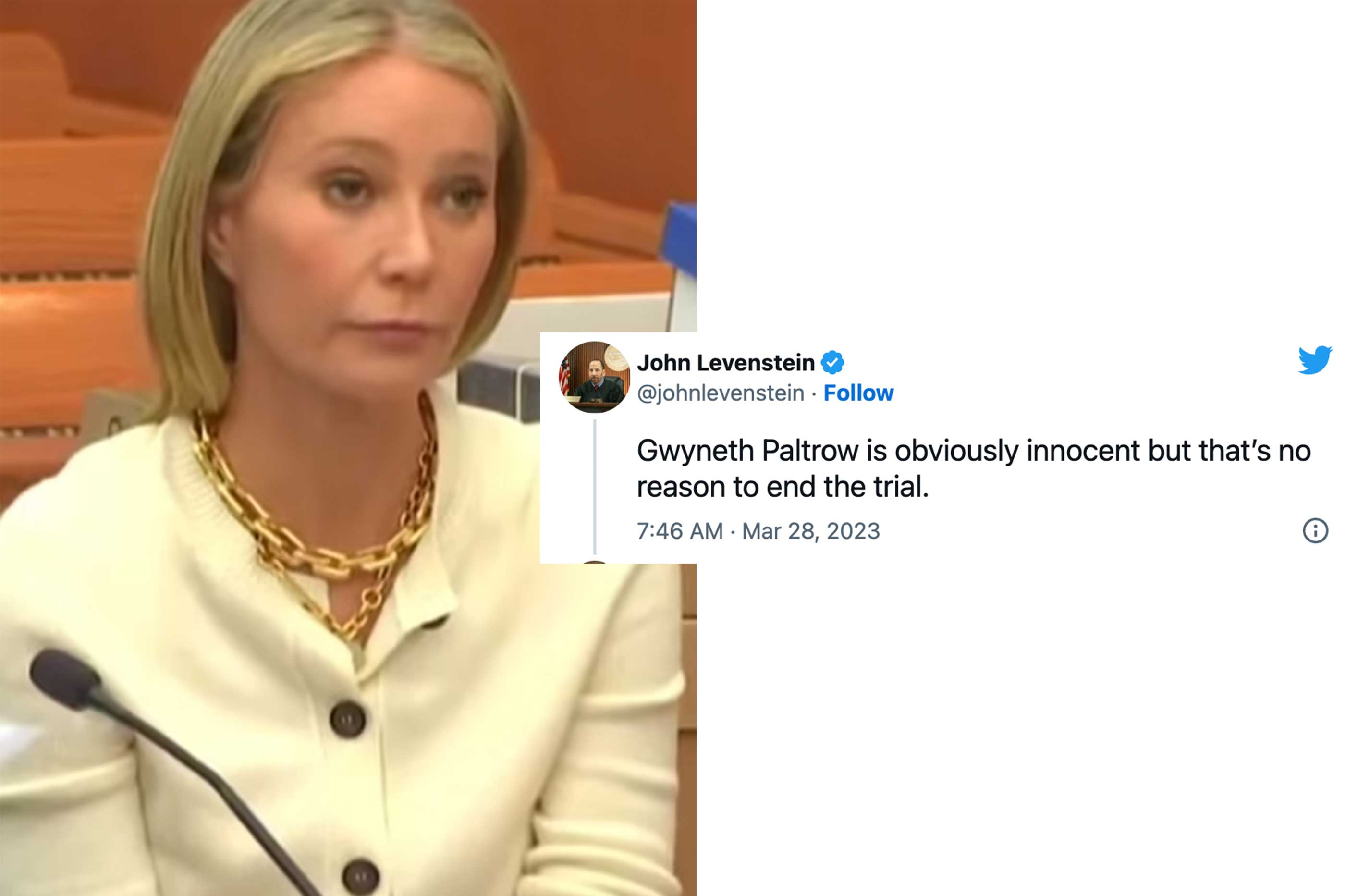 Gwyneth Paltrow's courtroom style