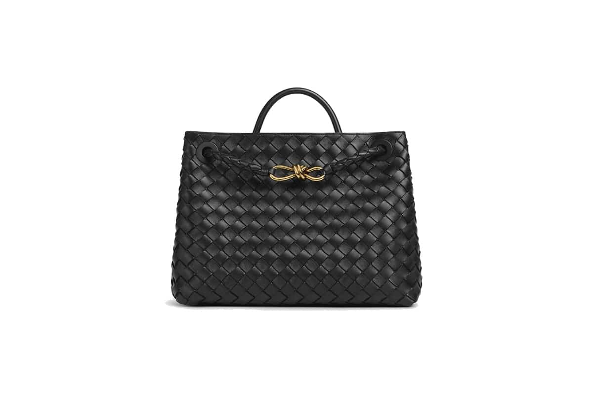 29 Best Designer Handbags of 2023 – Popular Luxury Purse Brands – WWD