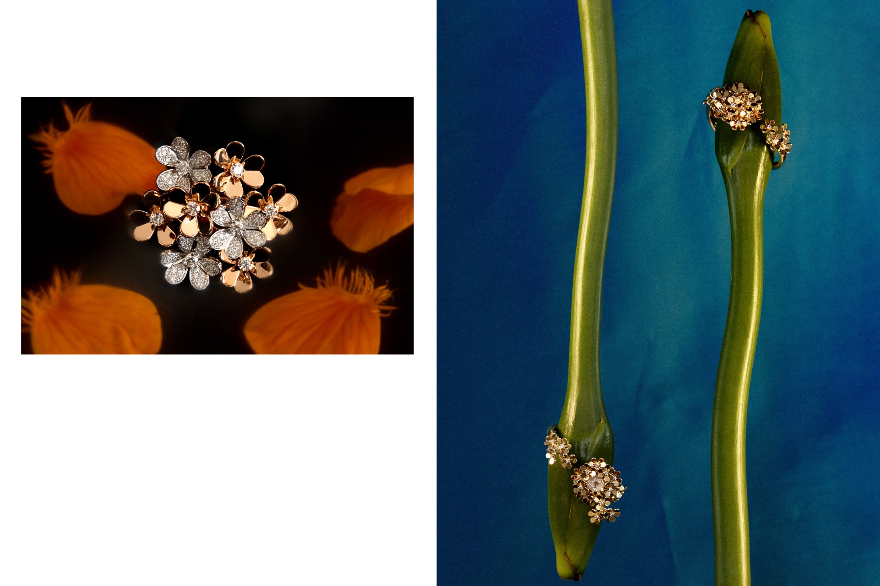 Van Cleef & Arpels' 'Frivole' collection ring and watches.