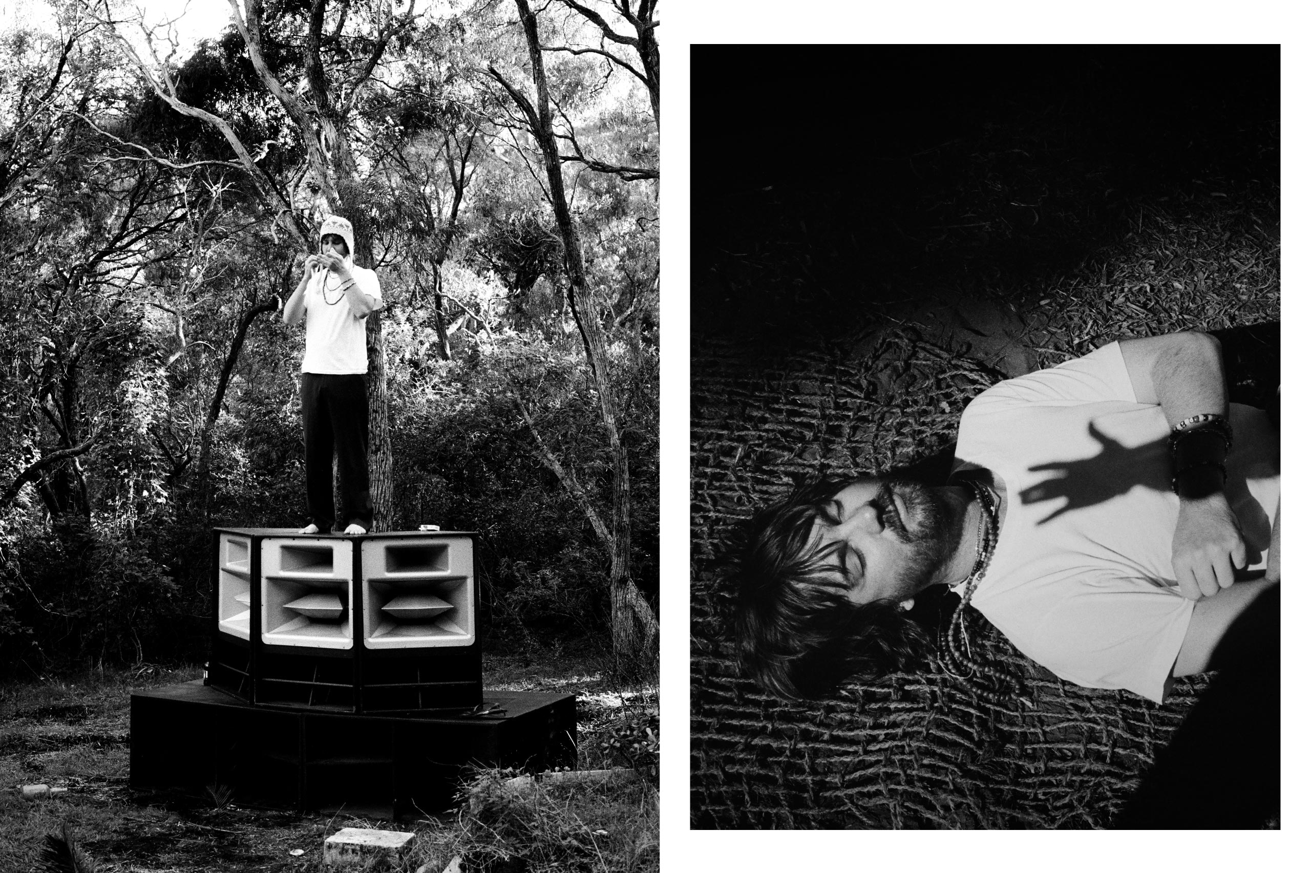 114-TAME_IMPALAL-FEATURE_1